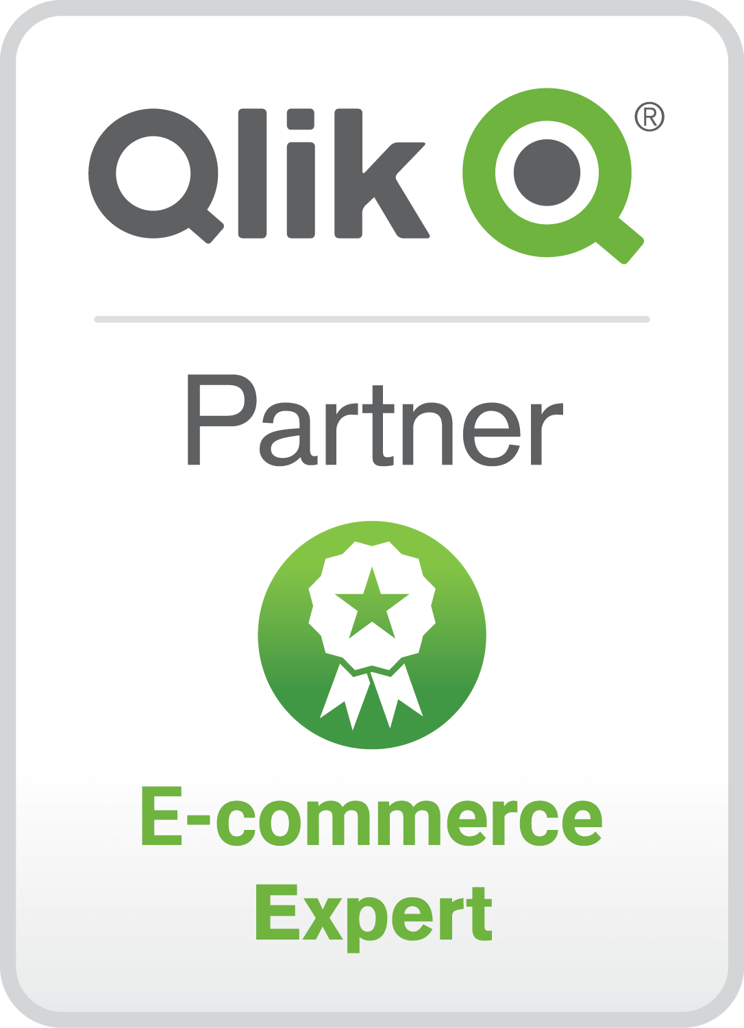 Qlik Partner E-Commerce Expert 