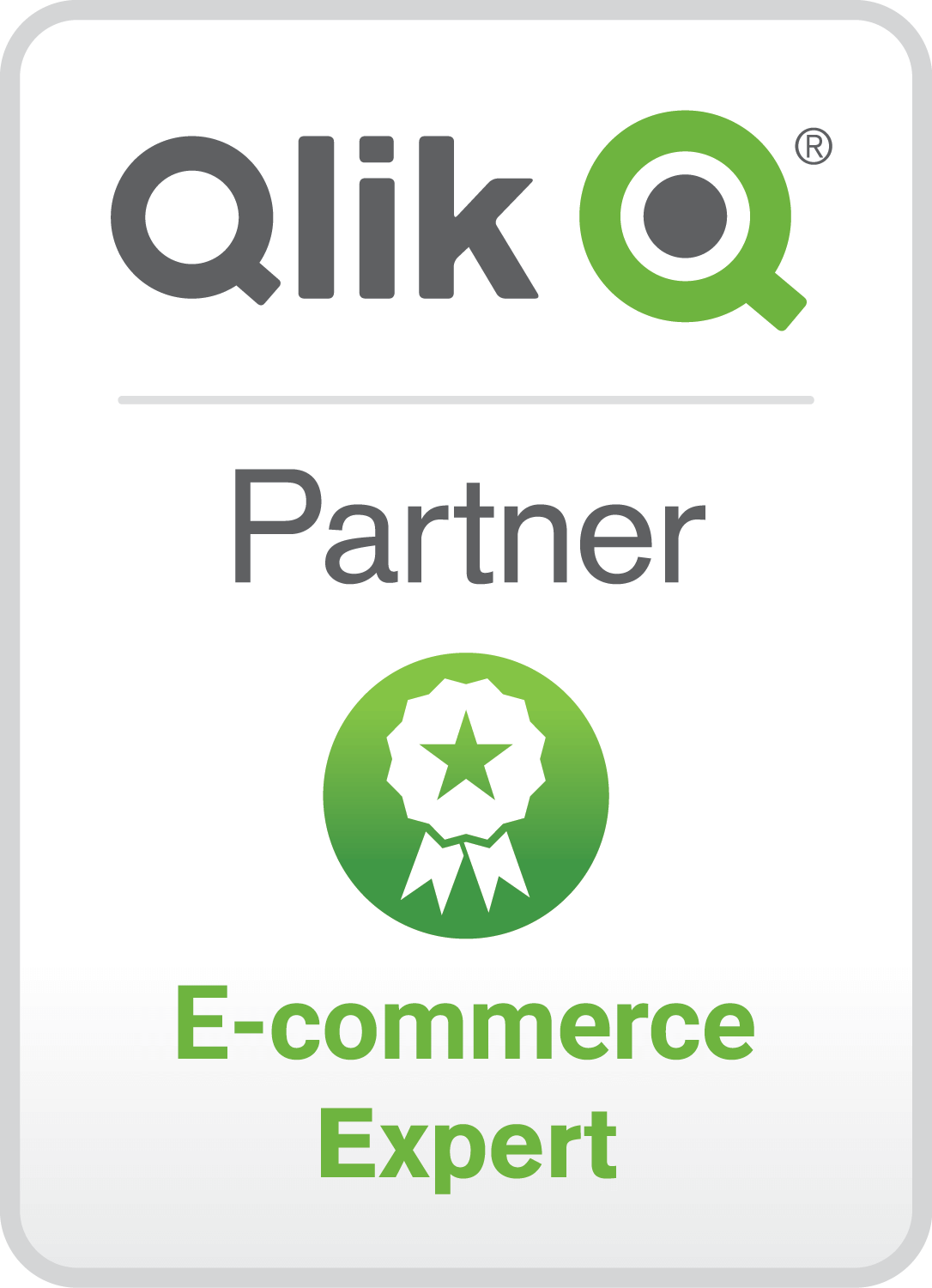 Qlik Partner Ecommerce Expert