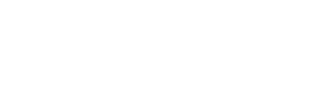 Qlik Sense