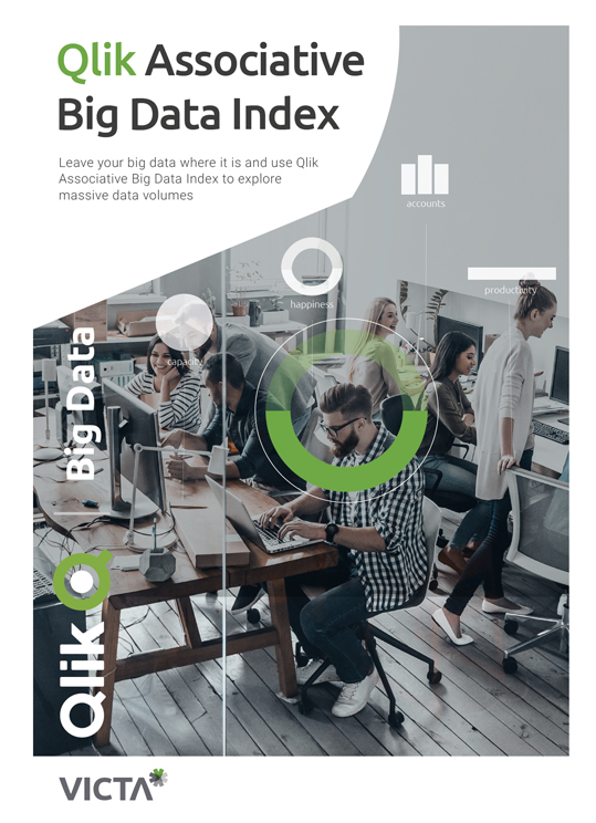 Mappe Qlik Assoziativer Big Data Index