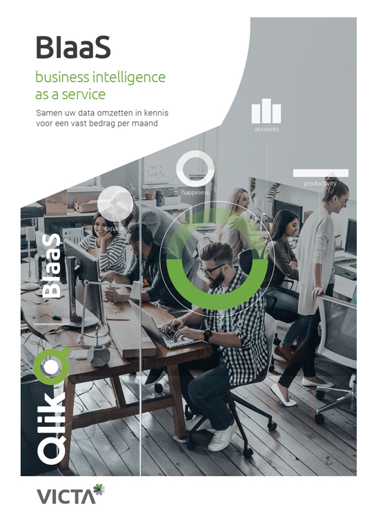 brochure BIAAS Business intelligence as a service