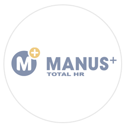 Qlik solution manus