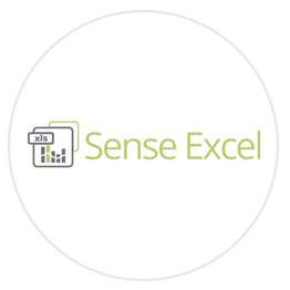 Qlik Senseexcel-Lösung