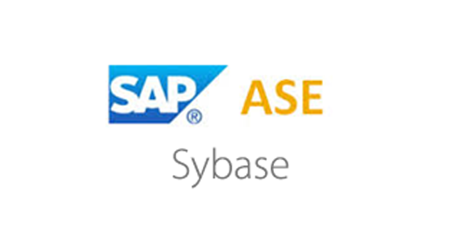 Sybase ASE Connector